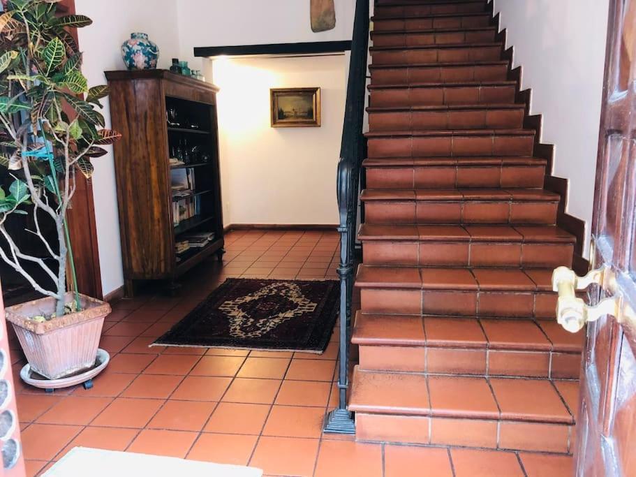 La Casa Di Marina 호텔 페라라 외부 사진