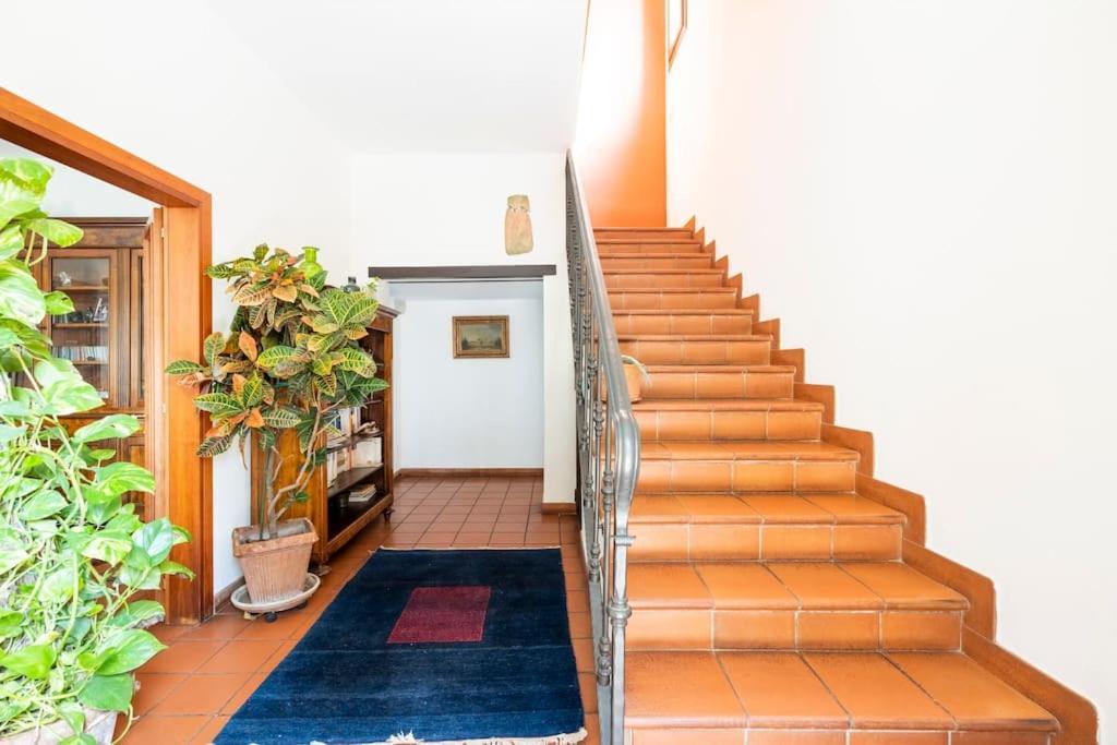 La Casa Di Marina 호텔 페라라 외부 사진